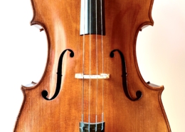 Cello - Helmut Mayer, Erlangen (front)