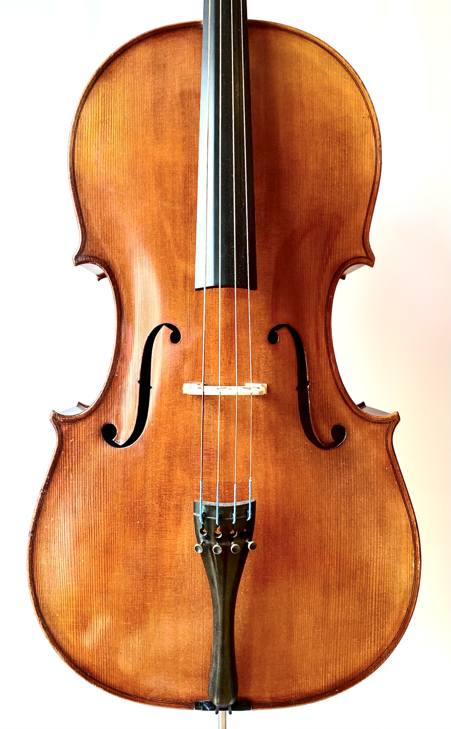 Cello - Helmut Mayer, Erlangen (front)